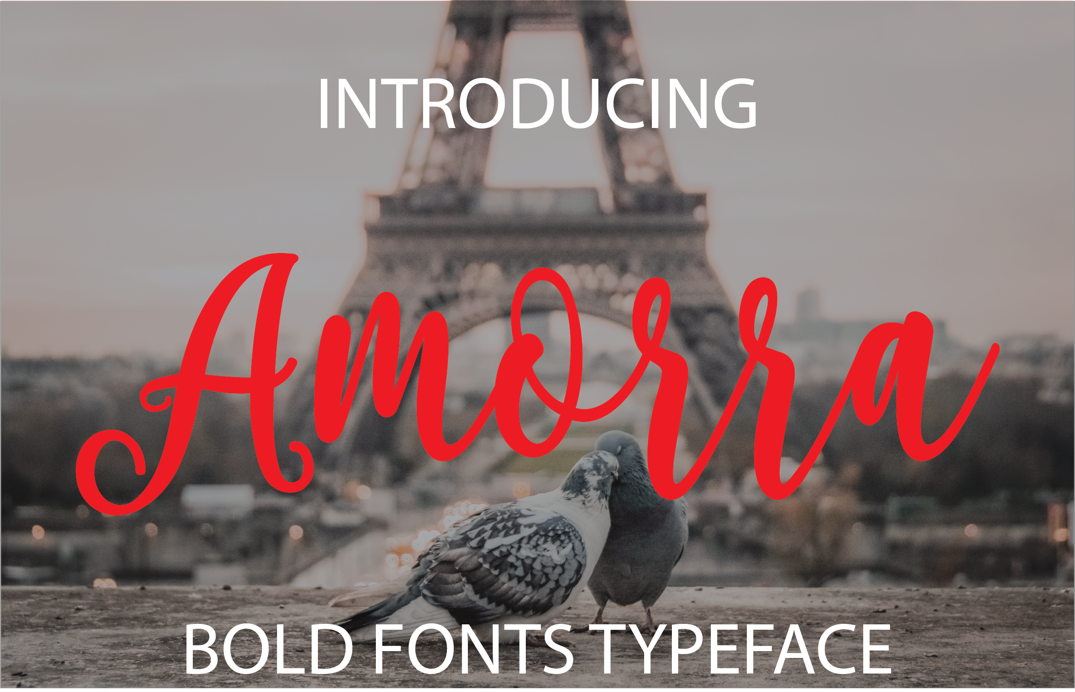 Amorra Font: Elevating Editorial Design