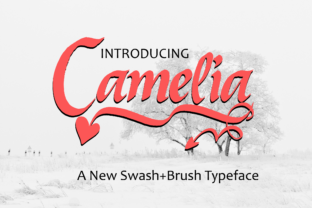 Camelia: A Decorative Handwritten Font for Dynamic Campaigns