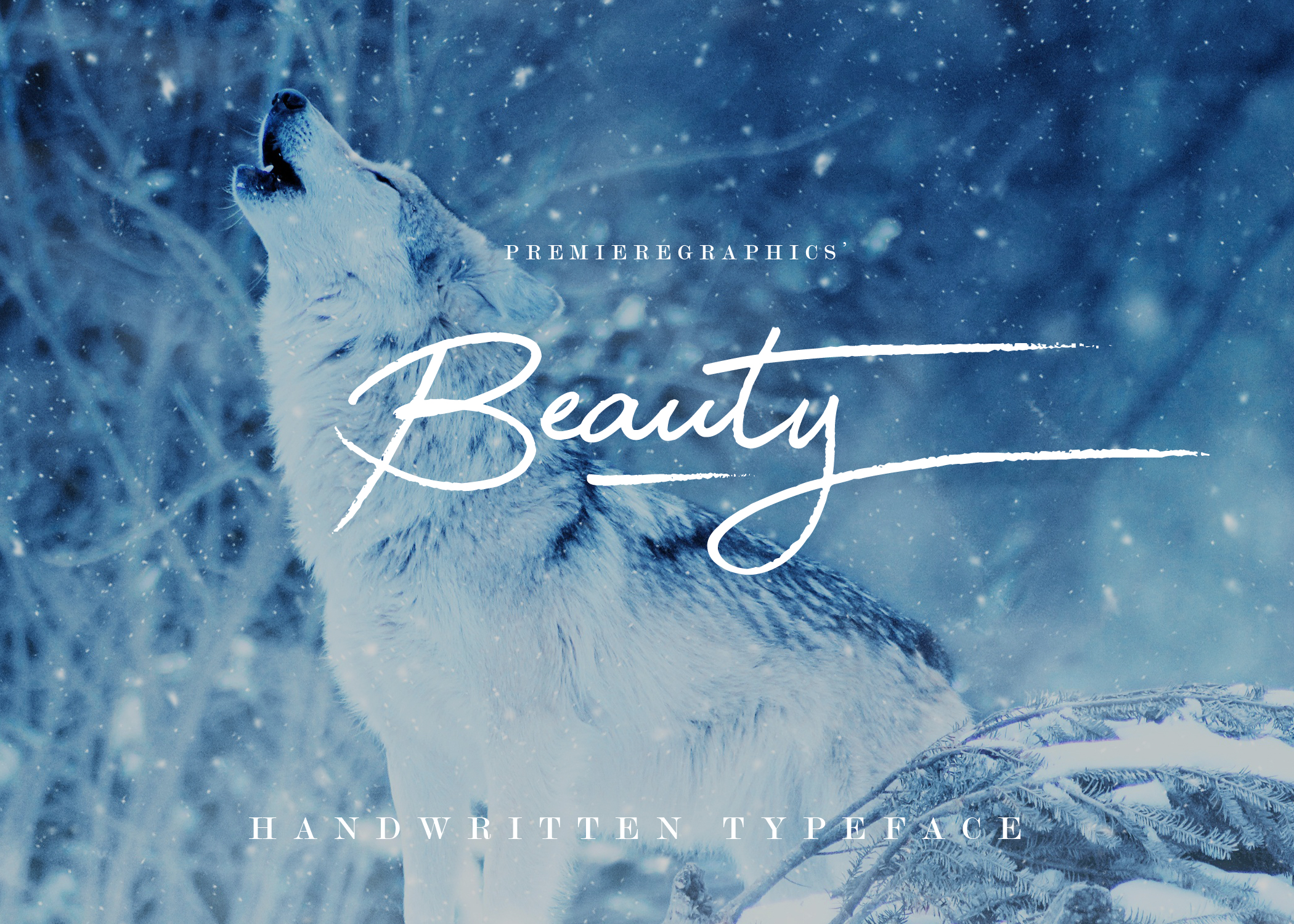 Enhance Your Brand with Beauty: A Handwritten Font