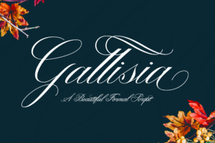 Gallisia: A Script Amp Font for Elegance