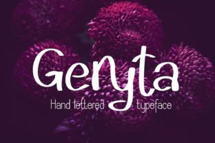 Geryta Font Review: Digital Layouts and UX