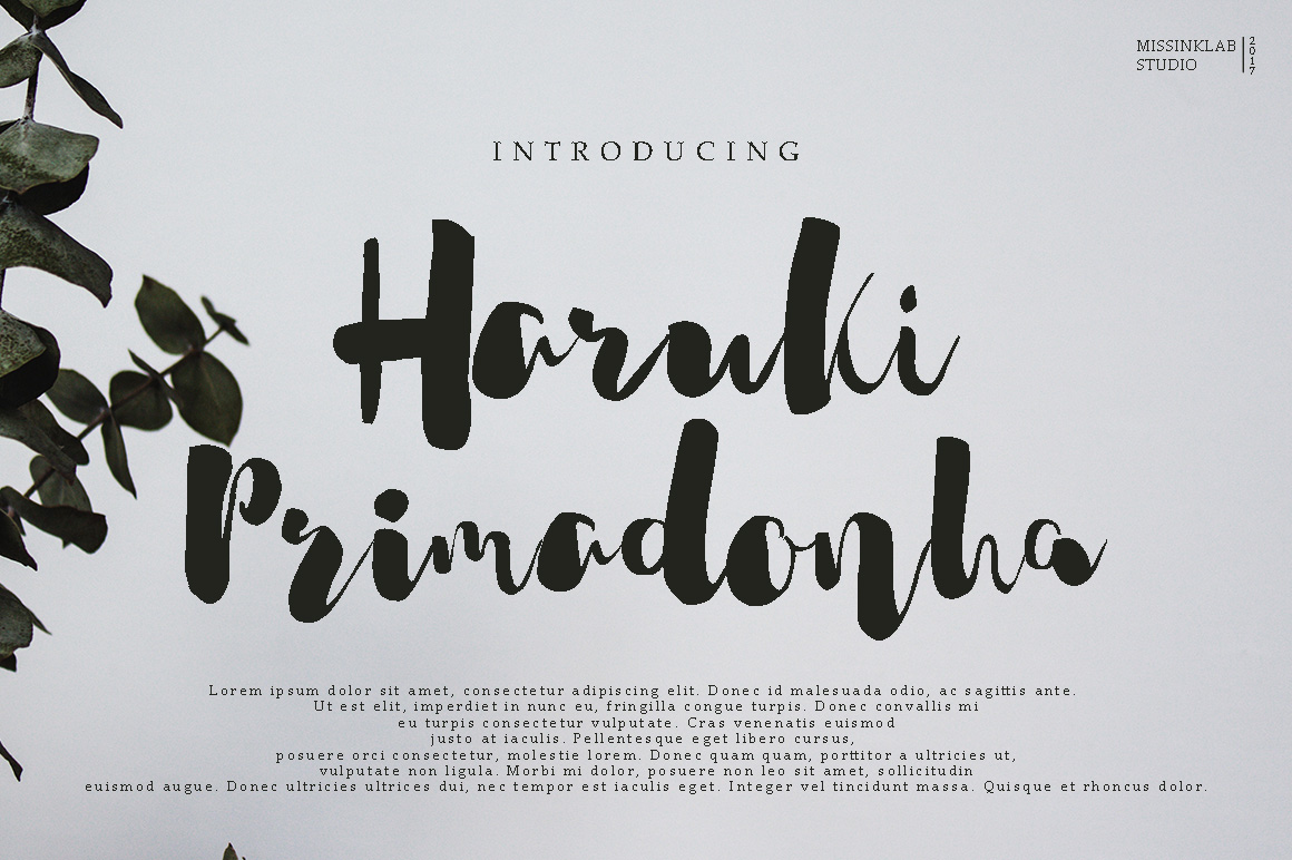 Haruki Primadonha Font: Elevating Handmade Labels