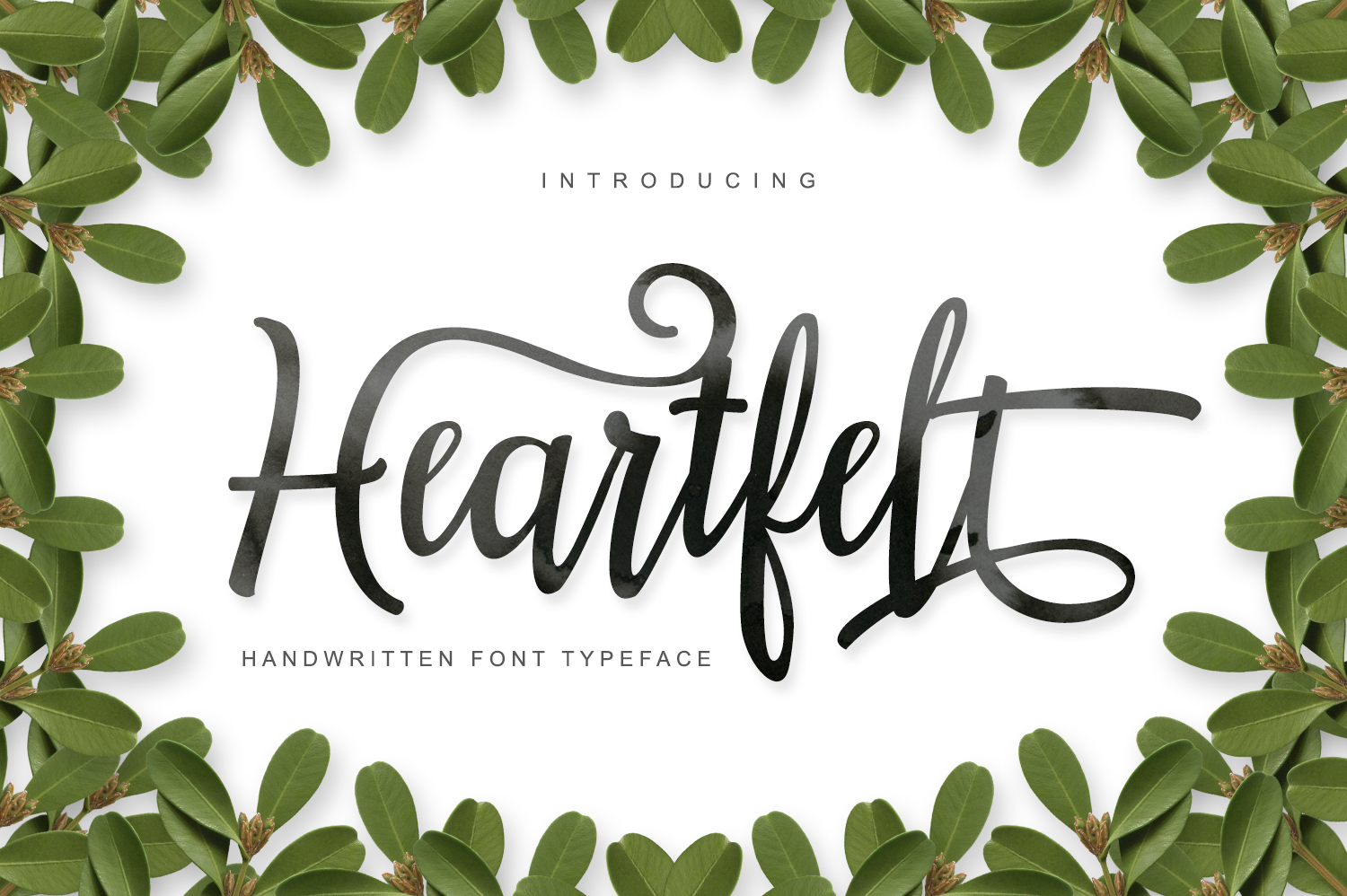 Heartfelt Font Review: Adaptable Script for Campaigns