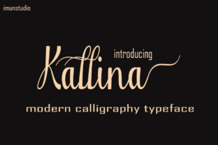 Kallina: A Designer’s Review for Real Brand Work