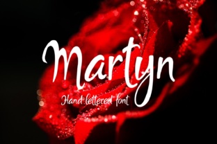 Martyn Font: Modern Script Typography for Campaigns
