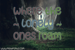 Where the Lonely Ones Roam Font for Web Design
